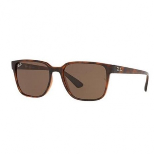 culos de Sol Ray Ban RB4339L-710/13 56 Tartaruga